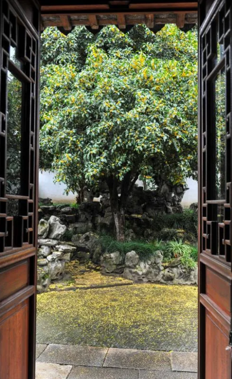 QQ截圖20200922091133.png