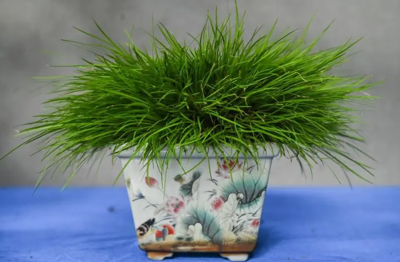 QQ截圖20201015150325.png