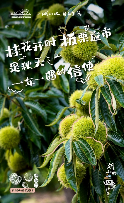 圖片.png